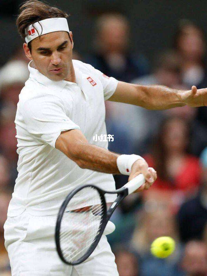  费德勒赛事官方发布爆冷新规，日本队争议不断！-开云网址